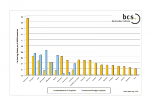 bcs_grafik_2013